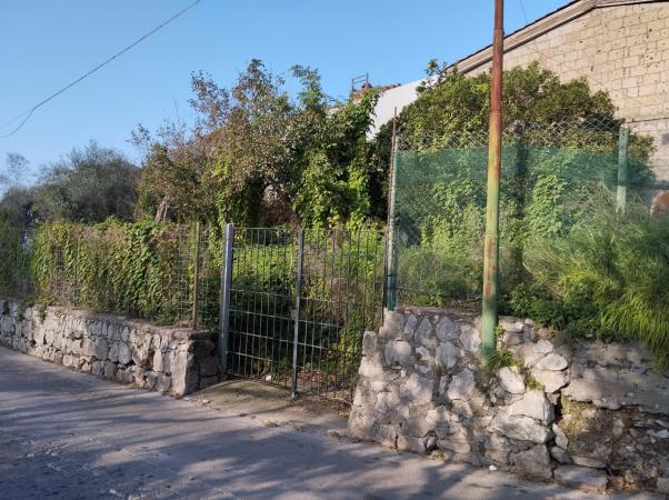 Giardino fronte strada